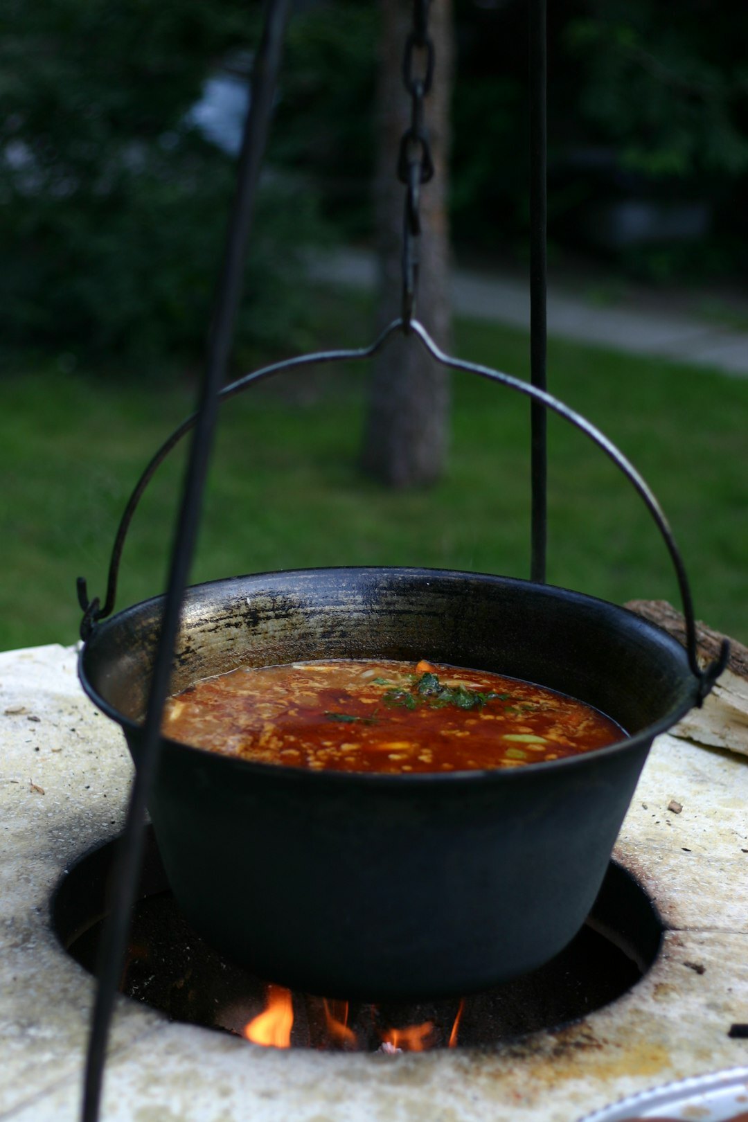 Plate of traditional Czech goulash with dumplings on a wooden table