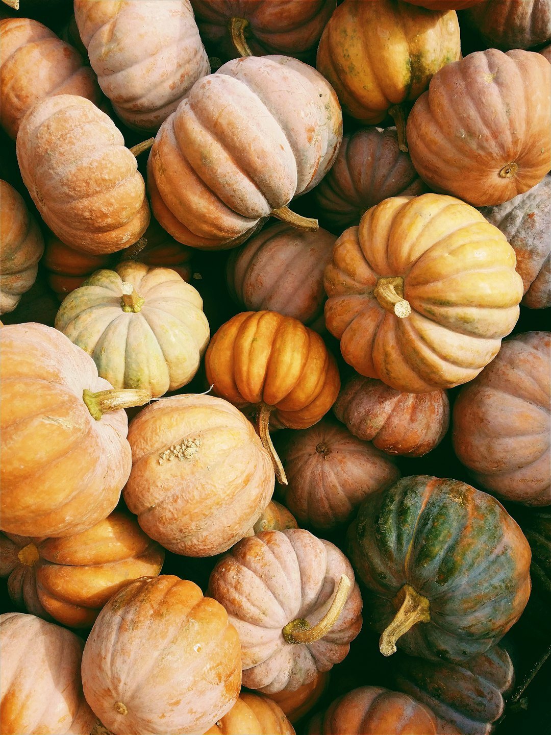 Autumn harvest of pumpkins, apples and mushrooms on a wooden table